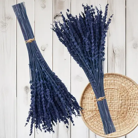 2Bundles Dried Flowers 120pcs Natural Blue Lavender Flower Fresh Flowers 15&rsquo;&lsquo;-17&rsquo;&lsquo; Preserved Dried Lavender Bouquet {1}