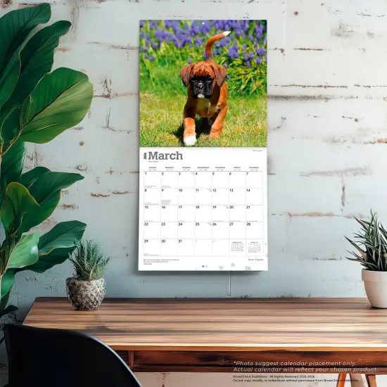 Boxer Puppies | 2026 12 x 24 Inch (Hanging) Monthly Square Wall Calendar | Plastic-Free {5}