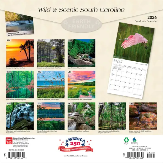 South Carolina Wild & Scenic | 2026 12 x 24 Inch (Hanging) Monthly Square Wall Calendar | Plastic-Free {2}