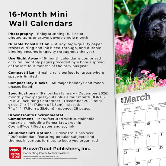 Black Labrador Retriever Puppies | 2026 7 x 14 Inch (Hanging) Monthly Mini Wall Calendar {6}