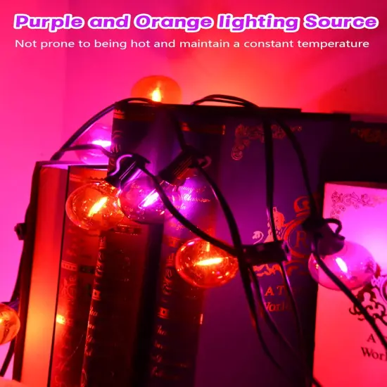 25FT G40 LED Outdoor Halloween String Lights {4}