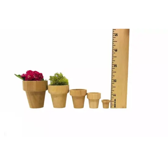 Kitcheniva 10 Pcs Miniature Birch Wood Flower Pots Small Flower Garden Pots {6}