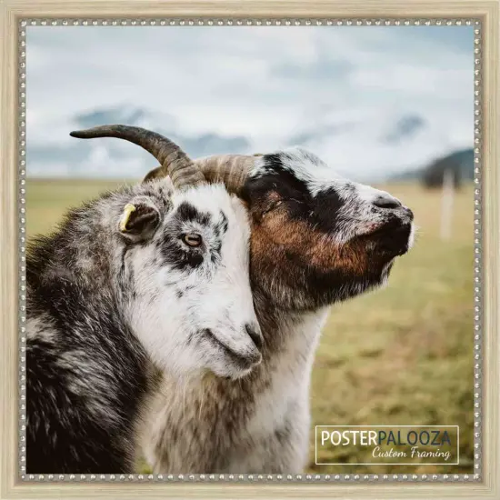 Panoramic Minimalist Silver Picture Frame - UV Acrylic, Foam Board Backing, Hanging Hardware {4}