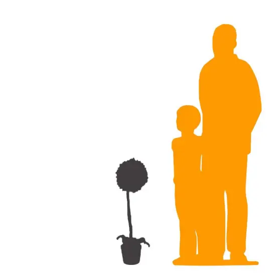 Small White Daisy In Pot Flower Statue {2}