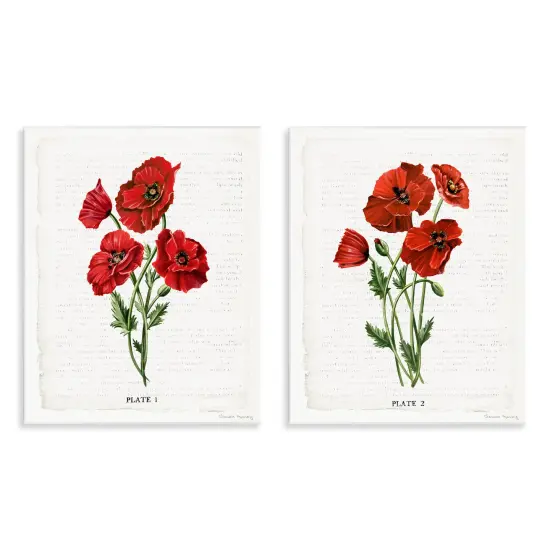 Stupell Industries Poppy Bunch Studies 2pc Wall Plaque Set By Danielle Murray {1}