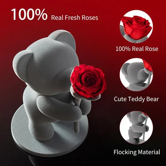 Preserved Flowers with Cute Teddy Bear, Eternal Real Rose Romantic Gift {4}
