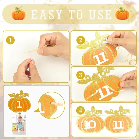 Fall Pumpkin 1st Birthday Photo Banner - Autumn Milestone Photograph Bunting {3}