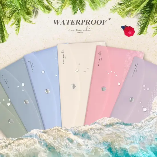 Budget Envelopes for Cash System {5}