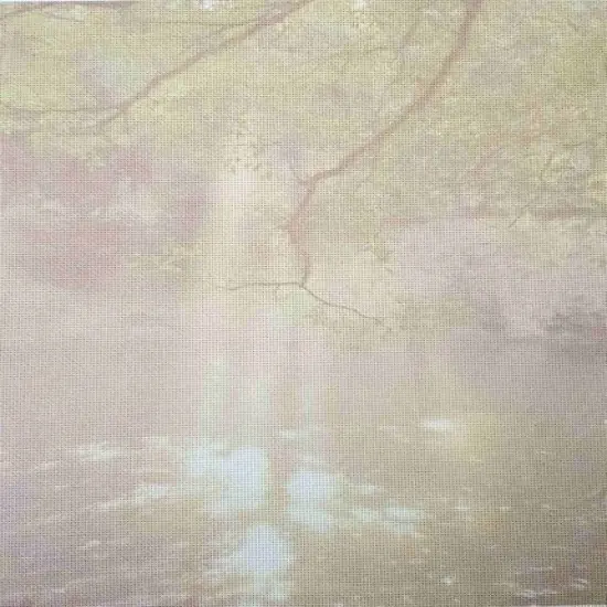 Gentle Vines Designer Printed AIDA Fabric. Canvas for embroidery with an applied backgroundKF-1142A {1}