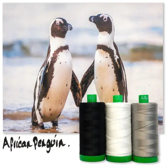 Aurifil African Penguin Color Builder Thread Set by Aurifil | (3 40wt Cotton Large Spools.) {1}