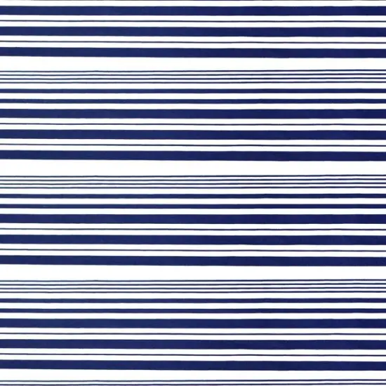 Variation Stripe Printed Spandex {2}