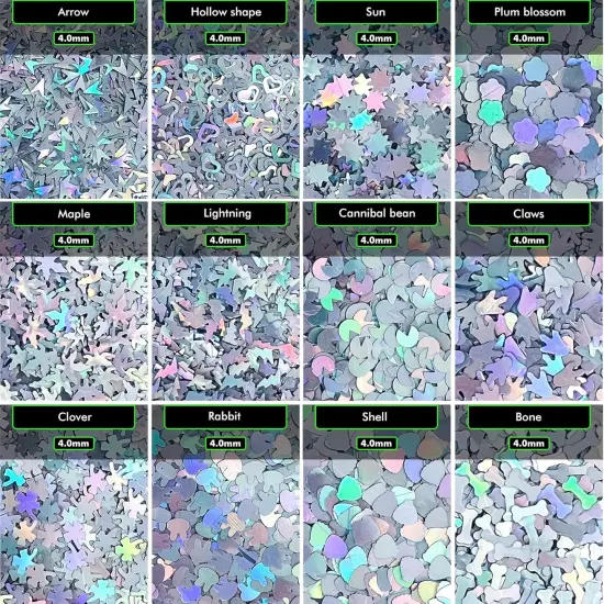 Sliver Sparkles Holographic Chunky Glitter {2}