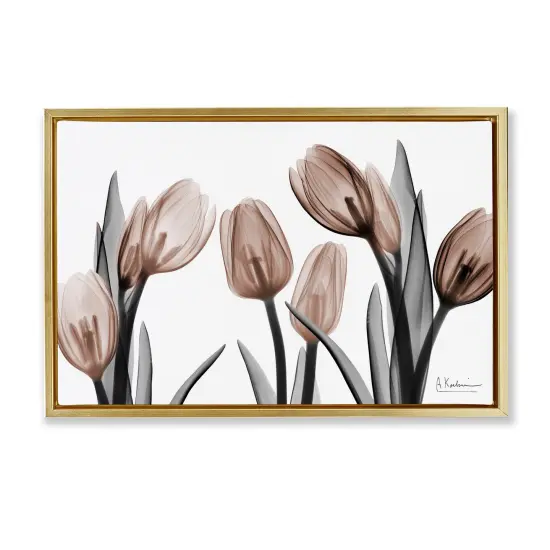 Stupell Industries Mocha & Discovery Tulips Floating Frame By Albert Koetsier {1}