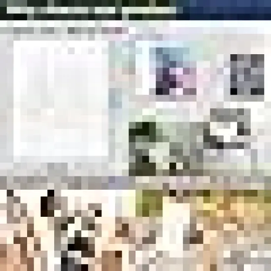 Pre Drawn Canvas to Paint for Adults {4}