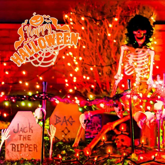 200 LED 66FT Halloween Fairy String Lights {3}