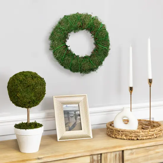 Northlight Green Moss and Twig Artificial Spring Wreath, 12-Inch {4}