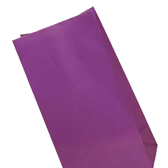 Colored Paper Bags 5'' x 3 1/8'' x 9 5/8'' Gift Bags {6}