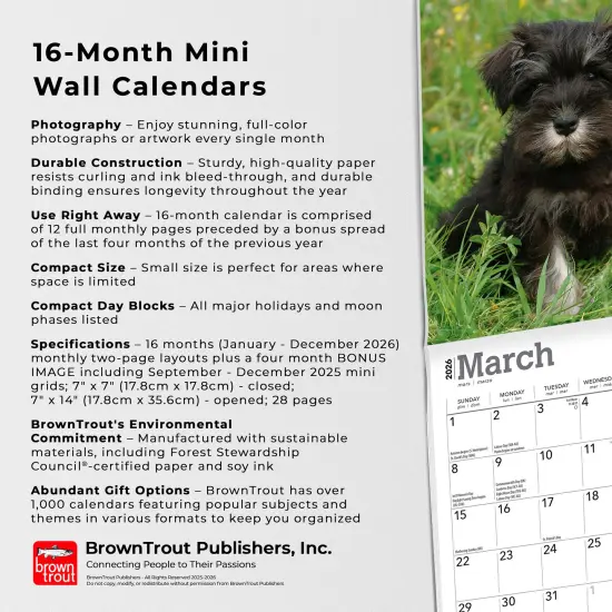 Schnauzer Puppies | 2026 7 x 14 Inch (Hanging) Monthly Mini Wall Calendar {6}