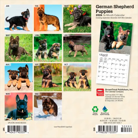 German Shepherd Puppies | 2026 7 x 14 Inch (Hanging) Monthly Mini Wall Calendar {2}