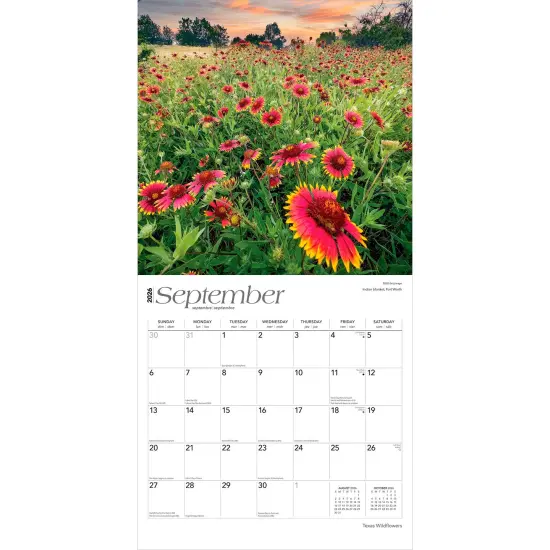 Texas Wildflowers | 2026 12 x 24 Inch (Hanging) Monthly Square Wall Calendar | Plastic-Free {4}