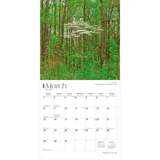 Georgia Wild & Scenic | 2026 12 x 24 Inch (Hanging) Monthly Square Wall Calendar | Plastic-Free {3}