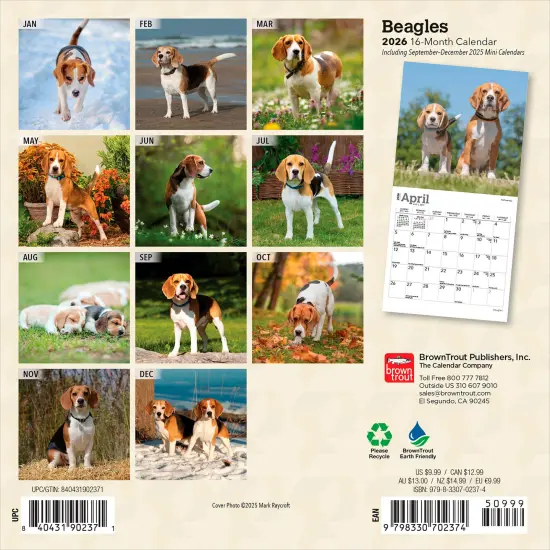 Beagles | 2026 7 x 14 Inch (Hanging) Monthly Mini Wall Calendar {2}