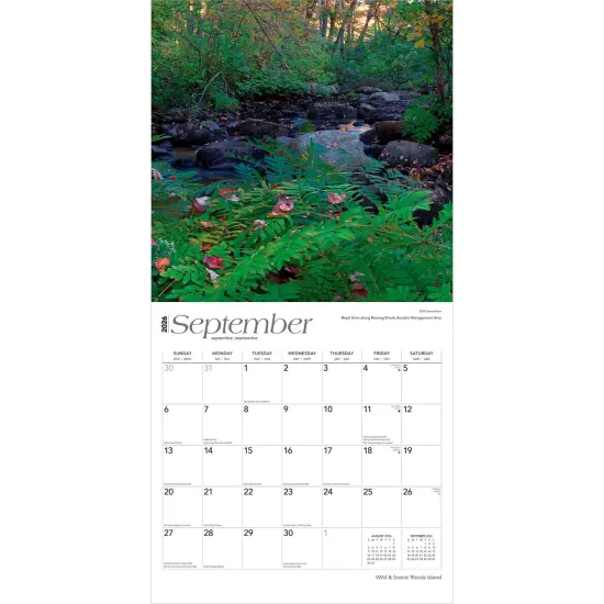 Rhode Island Wild & Scenic | 2026 12 x 24 Inch (Hanging) Monthly Square Wall Calendar | Plastic-Free {4}