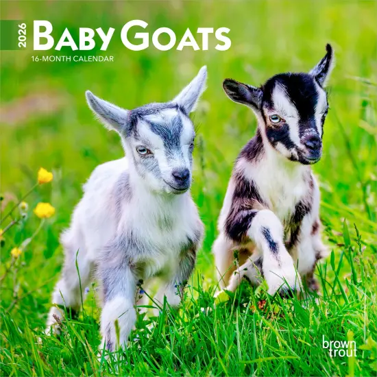 Baby Goats | 2026 7 x 14 Inch (Hanging) Monthly Mini Wall Calendar {1}
