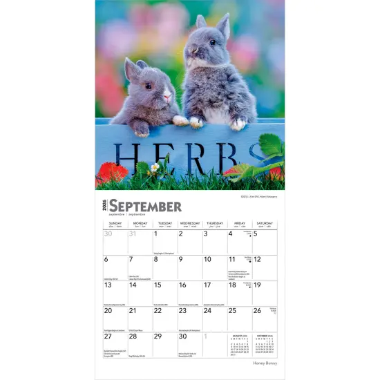 Honey Bunny | 2026 7 x 14 Inch (Hanging) Monthly Mini Wall Calendar {4}