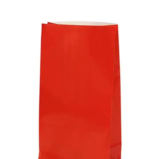 Colored Paper Party Bags 5'' x 3 1/8'' x 9 5/8'' Packs {5}