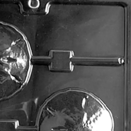 Sand Dollar Beach Party Chocolate Lollipop Mold {3}