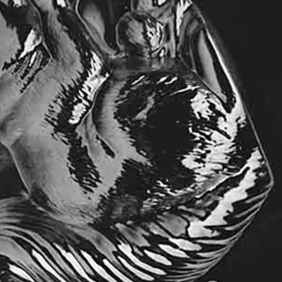 3D Jumbo Squirrel Chocolate Mold {3}