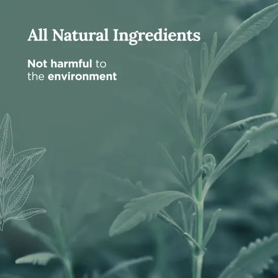 Magnificent 101 Long Lasting Pure White Sage Scented Smudge Candle | 6 Oz - 35 Hour Burn | Made of Soy Wax for House Energy Cleansing, Purification & Manifestation Multicolor {3}