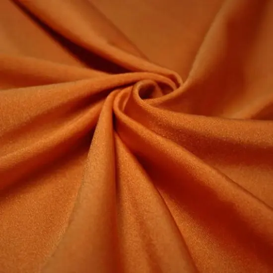 Shiny Nylon Spandex Fabric Penny {1}
