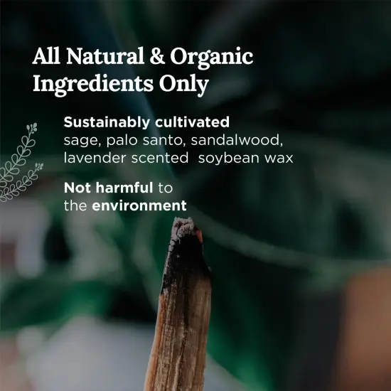 Magnificent 101 Long Lasting Aromatherapy Candle for Mental Clarity & Purity | 6 Oz - 35 Hour Burn | All Natural Soy Wax, Sage, Palo Santo, Lavender & Sandalwood | Meditation & Manifestation Multicolor {3}