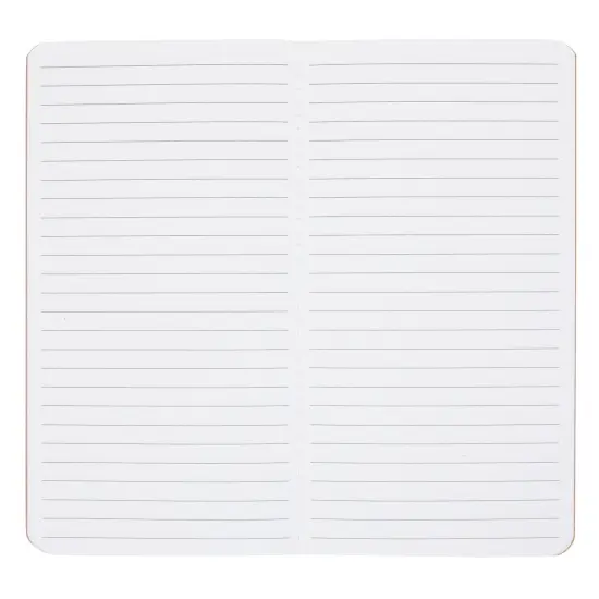 12 Pack Kraft Paper Notebooks, H5 Lined Journals for Travelers, Notes, Blank Soft Cover Diary (4 x 8 Inch) Brown {5}