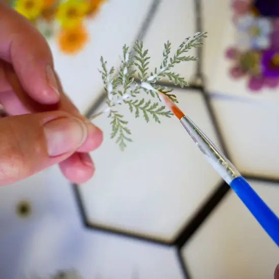 Framed Pressed Flowers Kit {3}