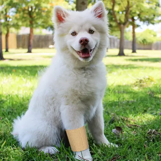 12-Rolls Self Adherent Bandage Wrap, Vet Tape - 3 In x 5 Yds Breathable, Elastic Cohesive Wrap Tape for Wrist, Swelling, Sports, Tattoo (Tan) {3}