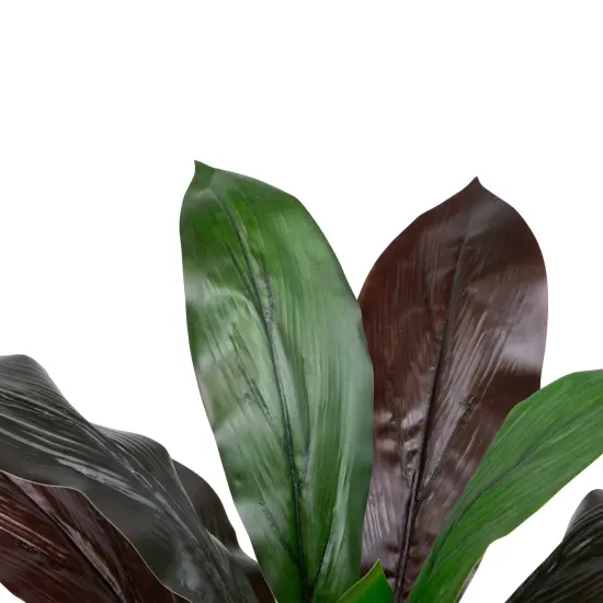 Northlight Real Touch&trade;️ Red and Green Artificial Dracaena Potted Plant - 23" {6}