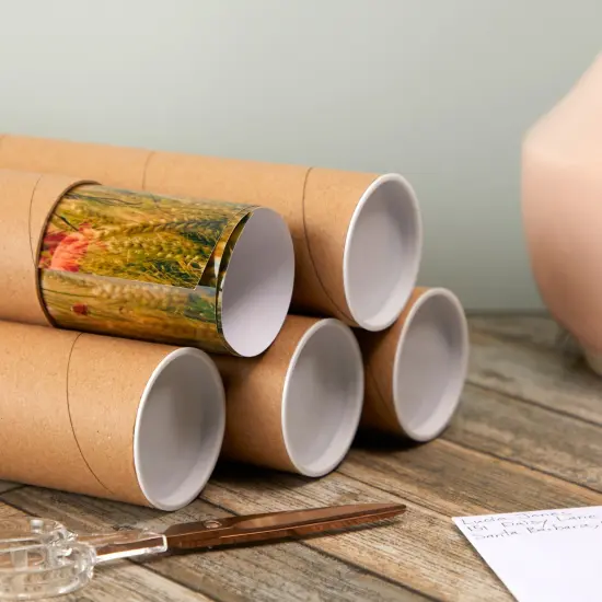 12 Pack Mailing Tubes with Caps, 2x16 Inch Kraft Paper Round Cardboard Mailers for Shipping Posters, Art Prints, Maps, Blueprint (Brown) {3}