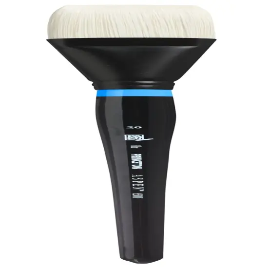 Princeton Series 6500 Aspen Synthetic Brush-Long Handle Flat Size 20 {1}