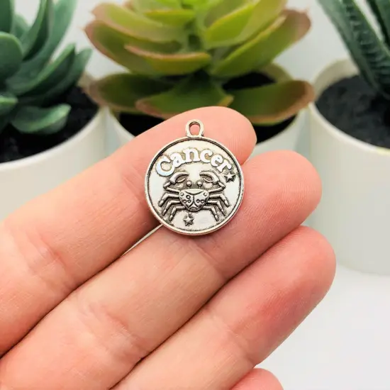 Antiqued Silver Zodiac/Astrology Coin Charm Set, 20x17mm {3}