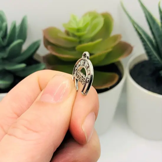 Silver Good Luck Horseshoe Charms, 17x15mm {4}