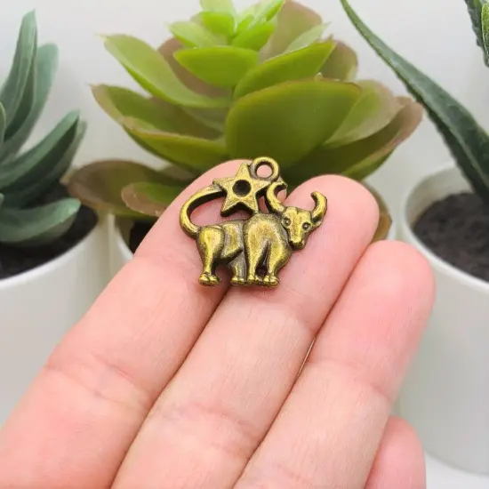 Bronze Zodiac/Astrology Character Astrology Sign Charms {2}