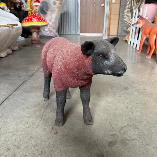 Brown Baby Texelaar Lamb Life Size Statue {5}