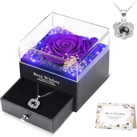Lighted Preserved Real Rose with Heart Necklace - Violet {1}