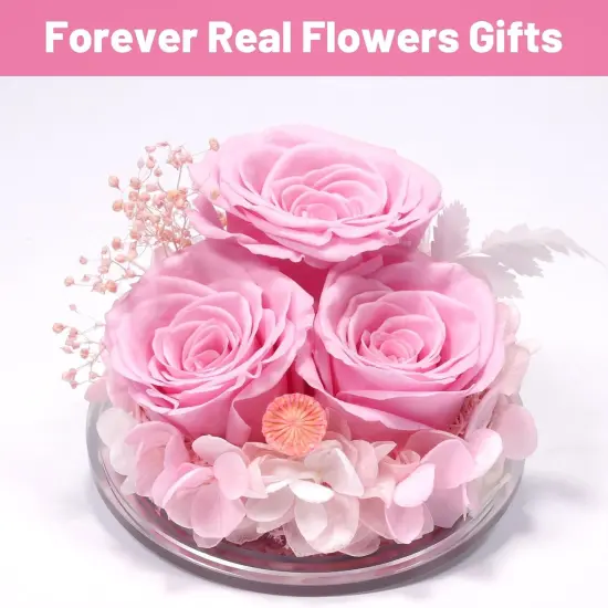 Preserved Flower Angel Rose Gifts for Women {3}