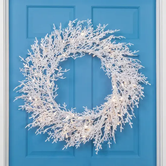 Northlight Pre-Lit Flocked Twig Artificial Christmas Wreath - 30" - LED Warm White Lights {1}