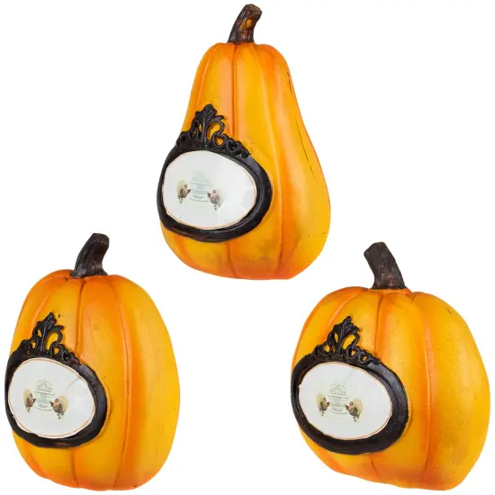 Northlight "Thanks, Today, Tomorrow, Always" Fall Harvest Pumpkin Decorations - 5.5" - Set of 3 Orange {4}