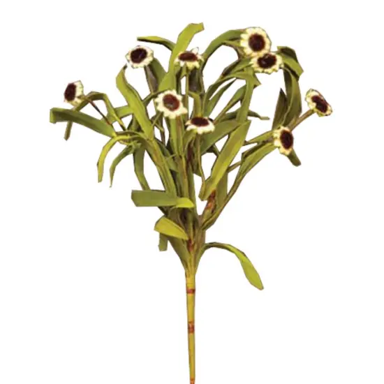 Country Mix Daisy Bush Ivory {1}